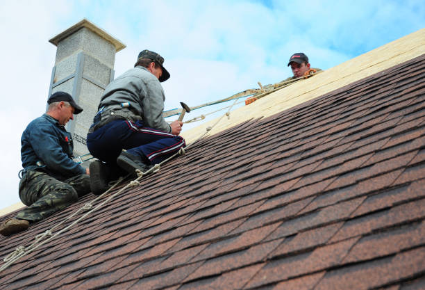 Best Roof Leak Repair  in Earlysville, VA