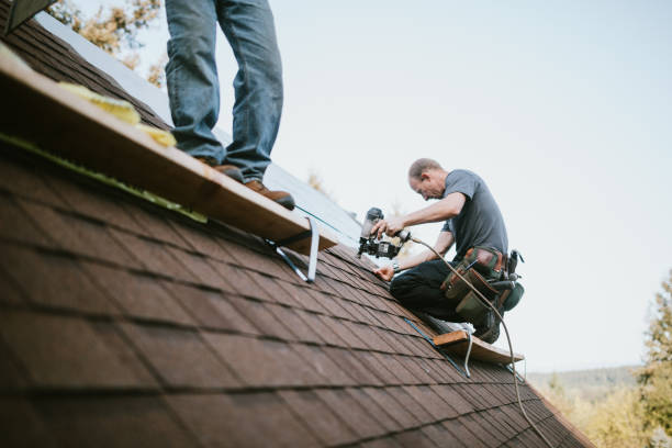 Best Roof Gutter Cleaning  in Earlysville, VA